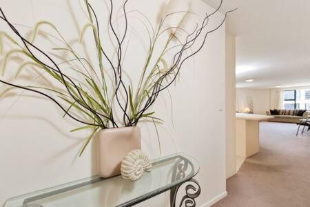 Oceanside Apartment 마운트마운가누이 외부 사진